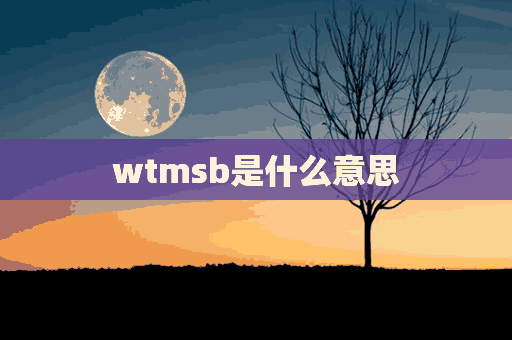 wtmsb是什么意思(wmbhs什么意思)